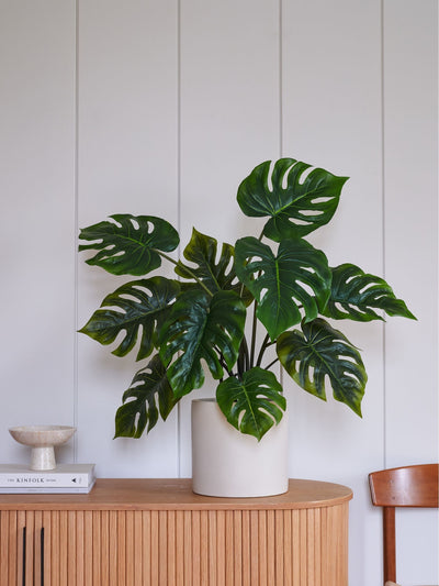 Beards Daisies Grønn Kunstig Monstera Plante 80cm