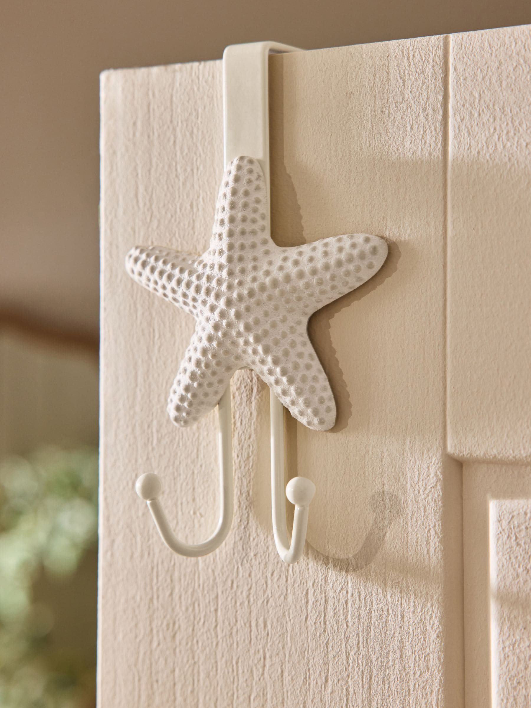 Natural starfish over door hook - British product