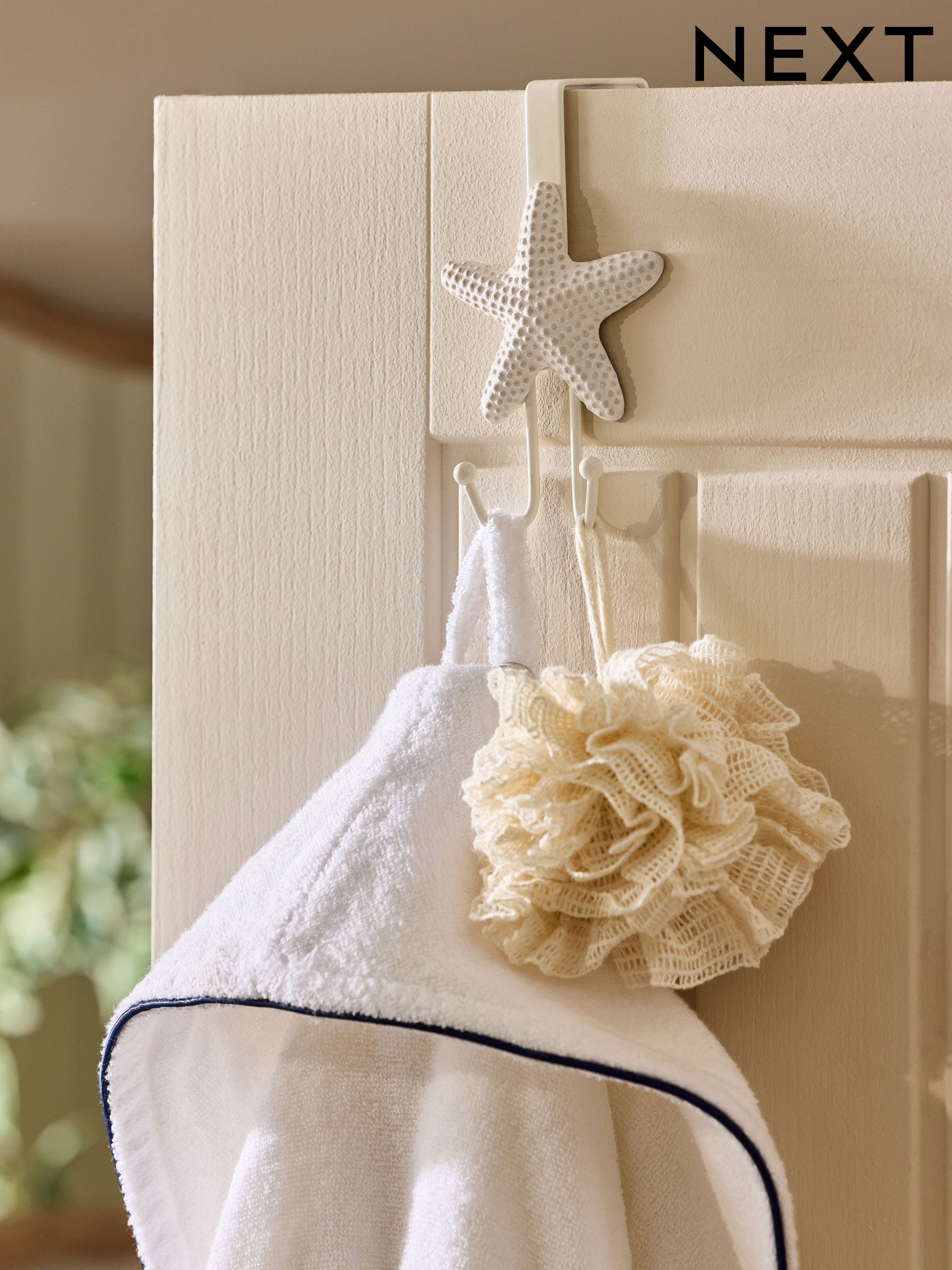 Natural starfish over door hook - British product