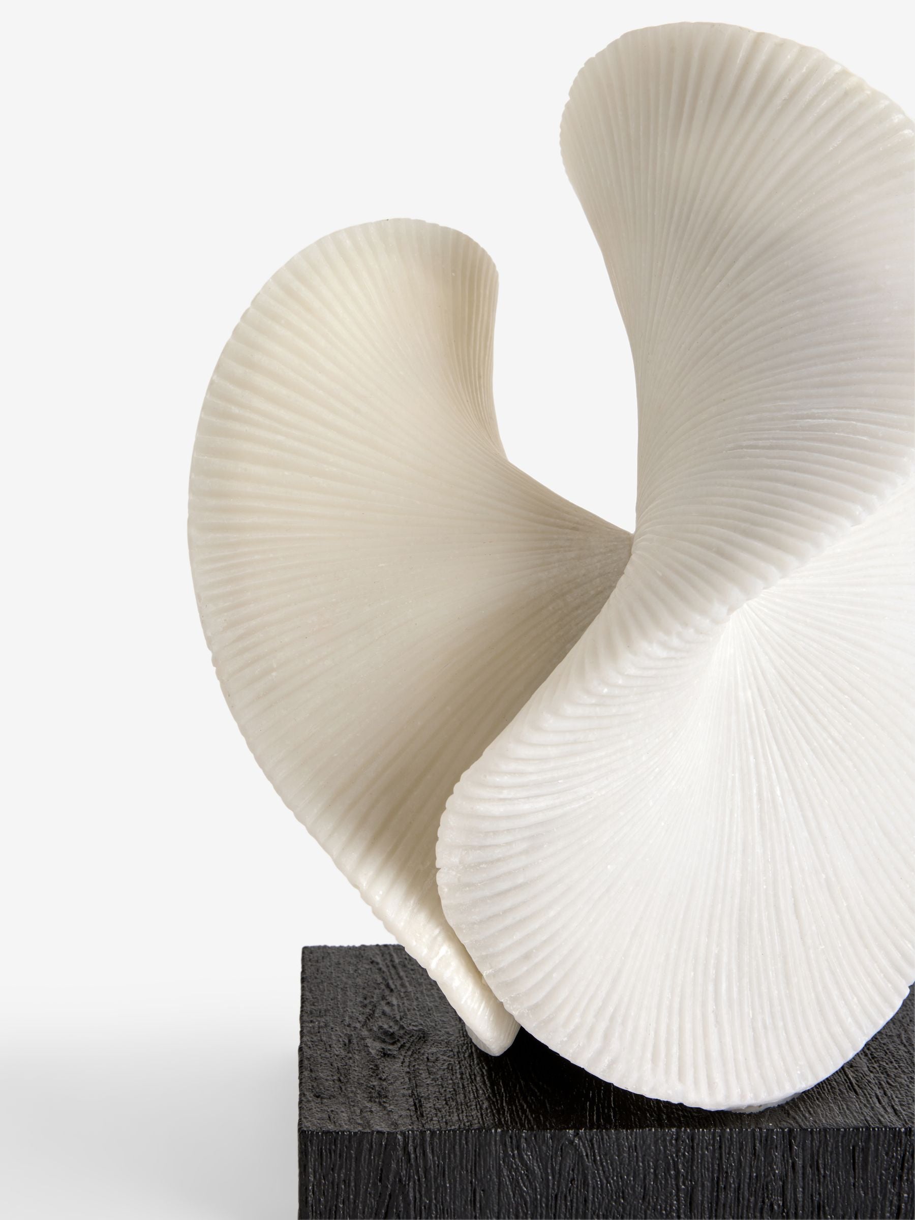 Sosandar White Ornament coral-textured decorative sculpture 29cm height (British brand)