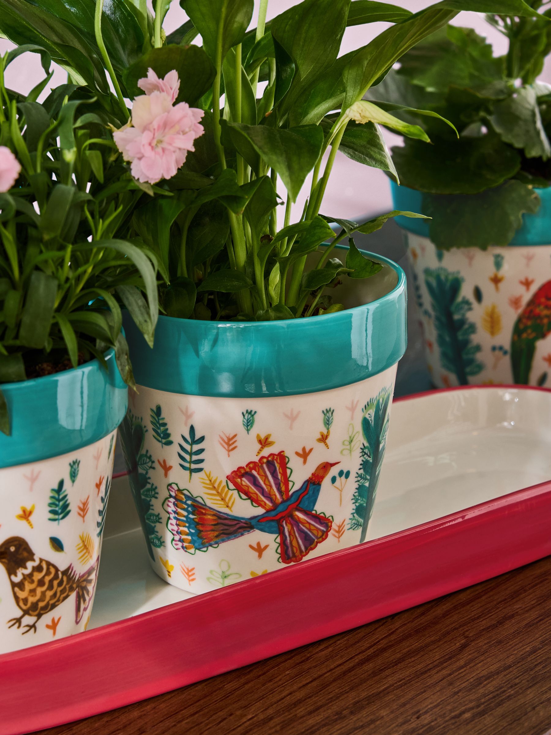 Lucy Tiffney ceramic plant pots with tropical bird designs, set of 3, UK version