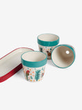Lucy Tiffney ceramic plant pots with tropical bird designs, set of 3, UK version