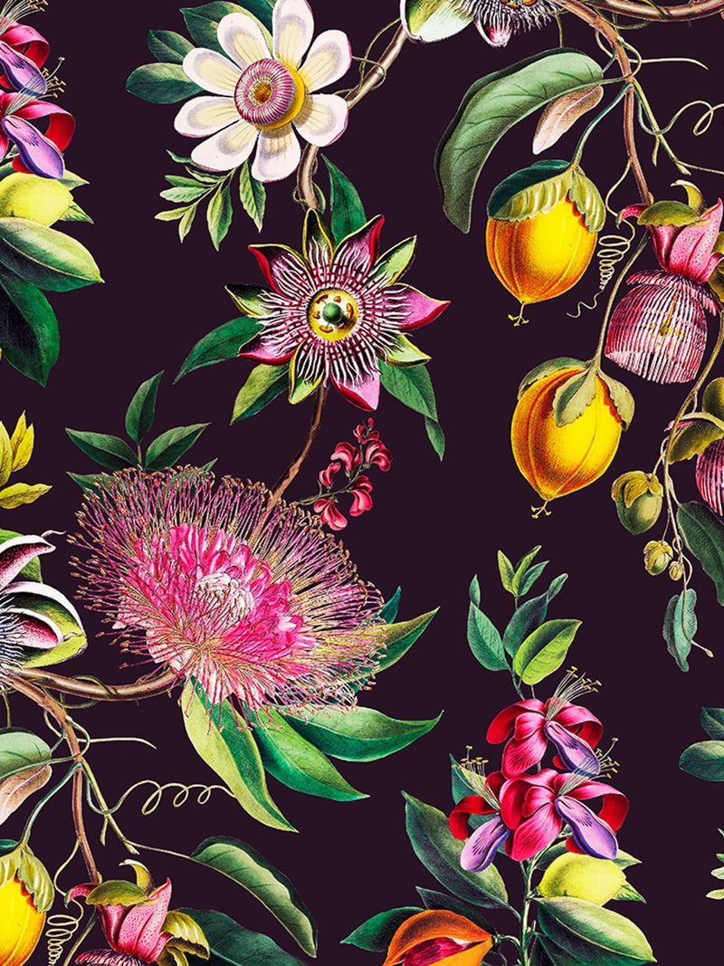 Graham & Brown wallpaper sample Blackcurrant Physic Garden A4, UK version