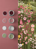 Graham & Brown Spring Glenwhan Wildflower A4 wallpaper sample (British brand)