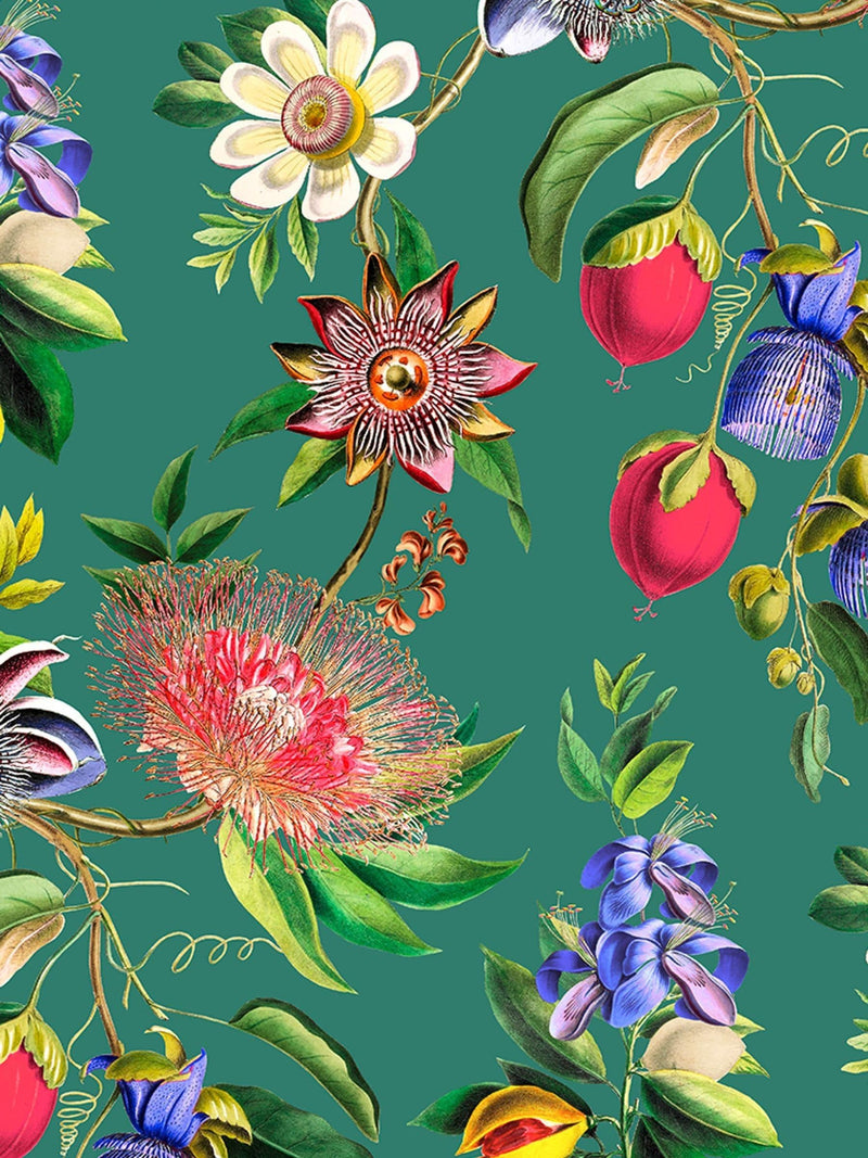 Graham & Brown Teal Physic Garden sample A4, imported from the UK