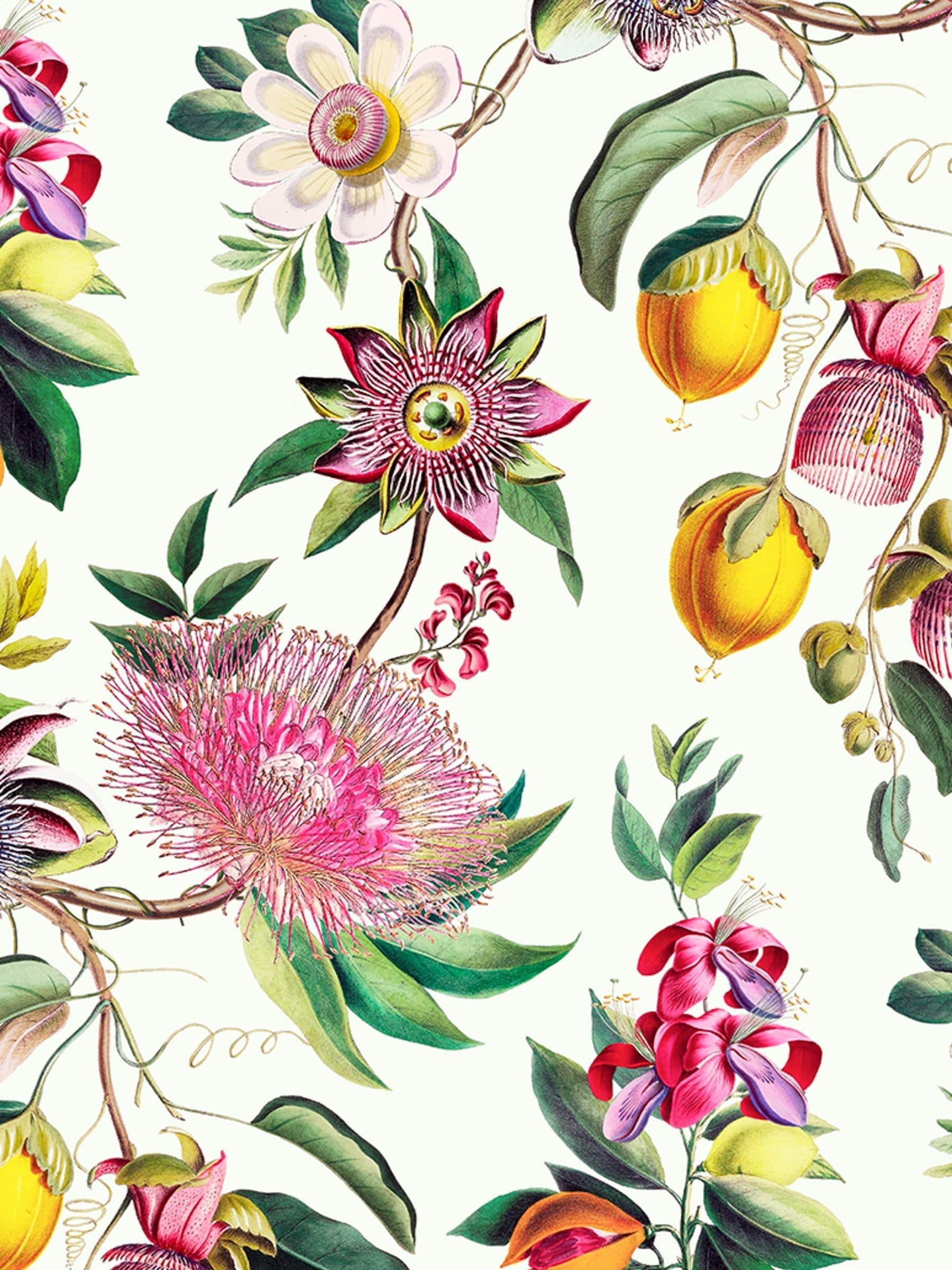 Graham & Brown Lush Physic Garden wallpaper sample A4, imported from the UK