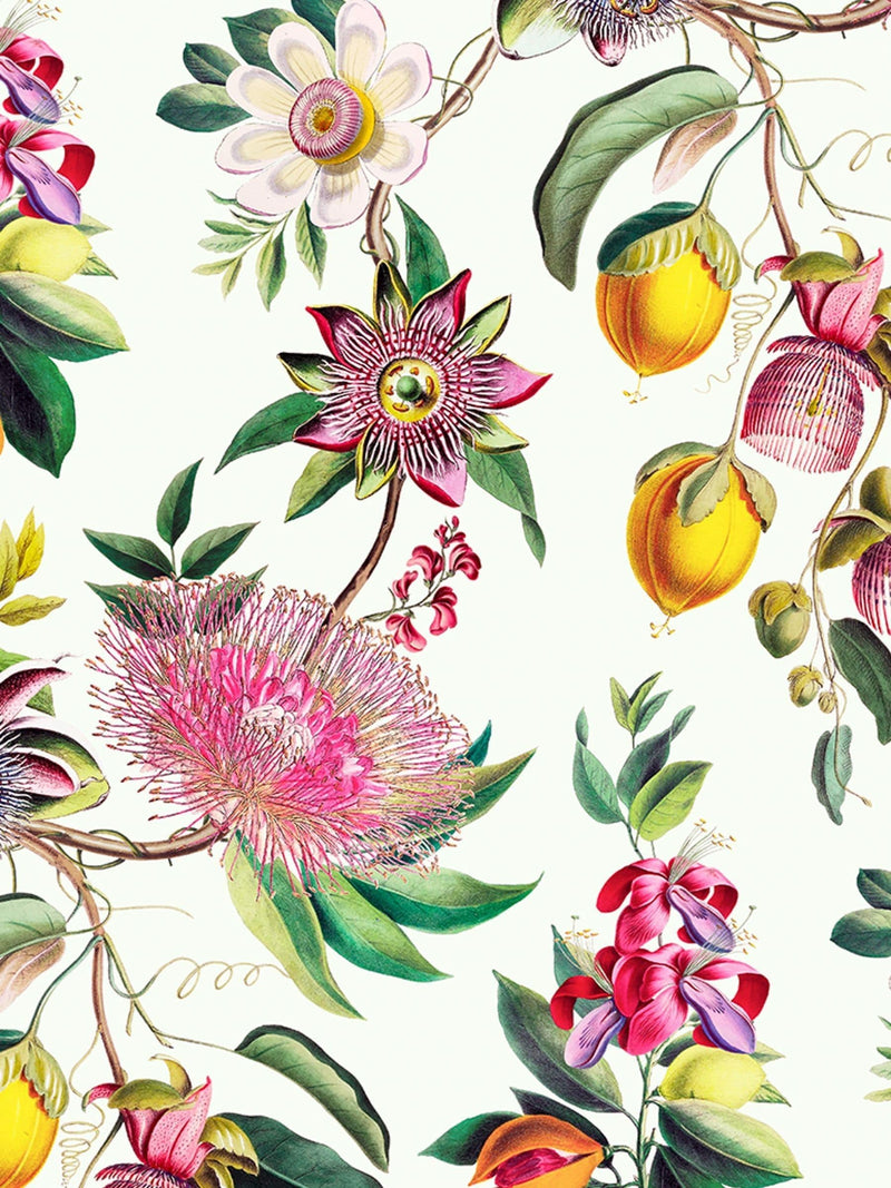 Graham & Brown Lush Physic Garden wallpaper sample A4, imported from the UK