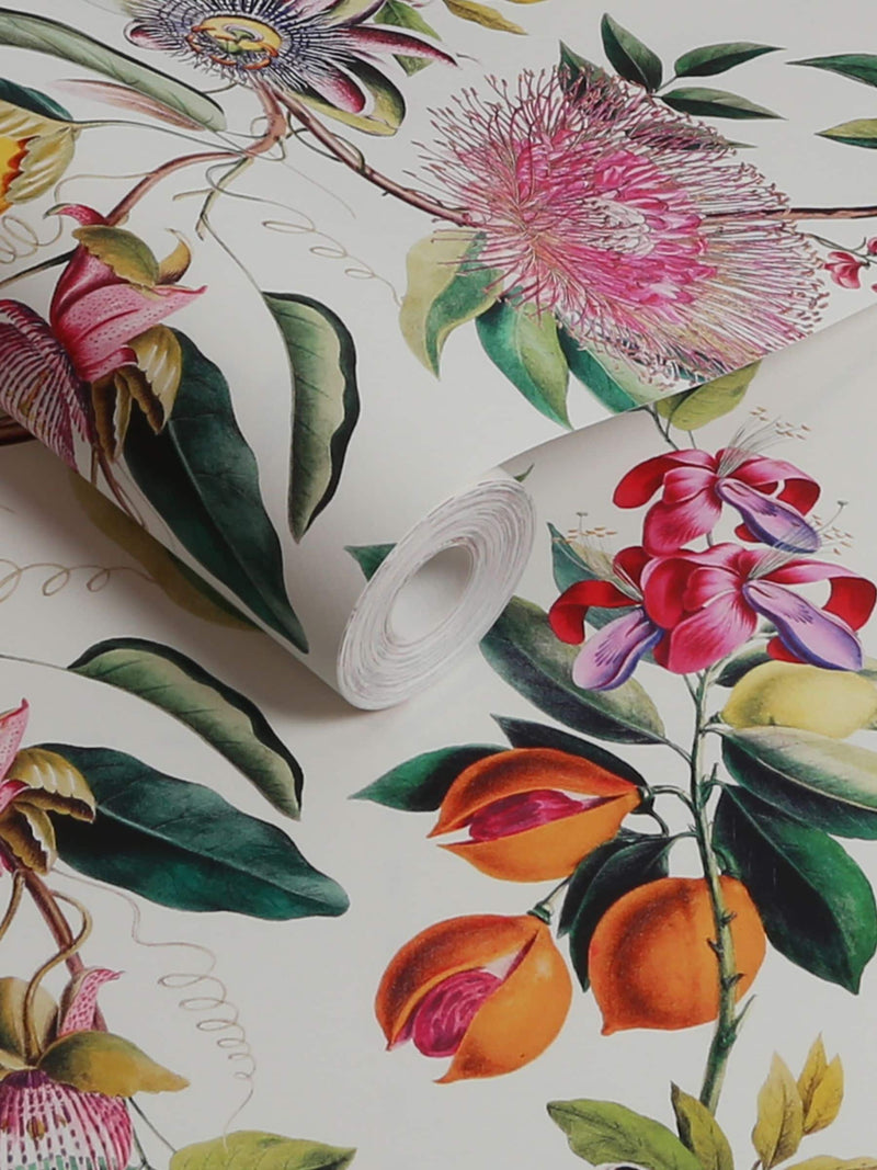 Graham & Brown Lush Physic Garden wallpaper sample A4, imported from the UK