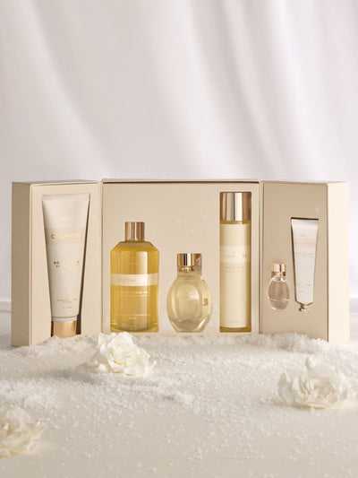 Als nächstes Cashmere Best Of Everything Premium Geschenkset - Online bei McGrocer kaufen