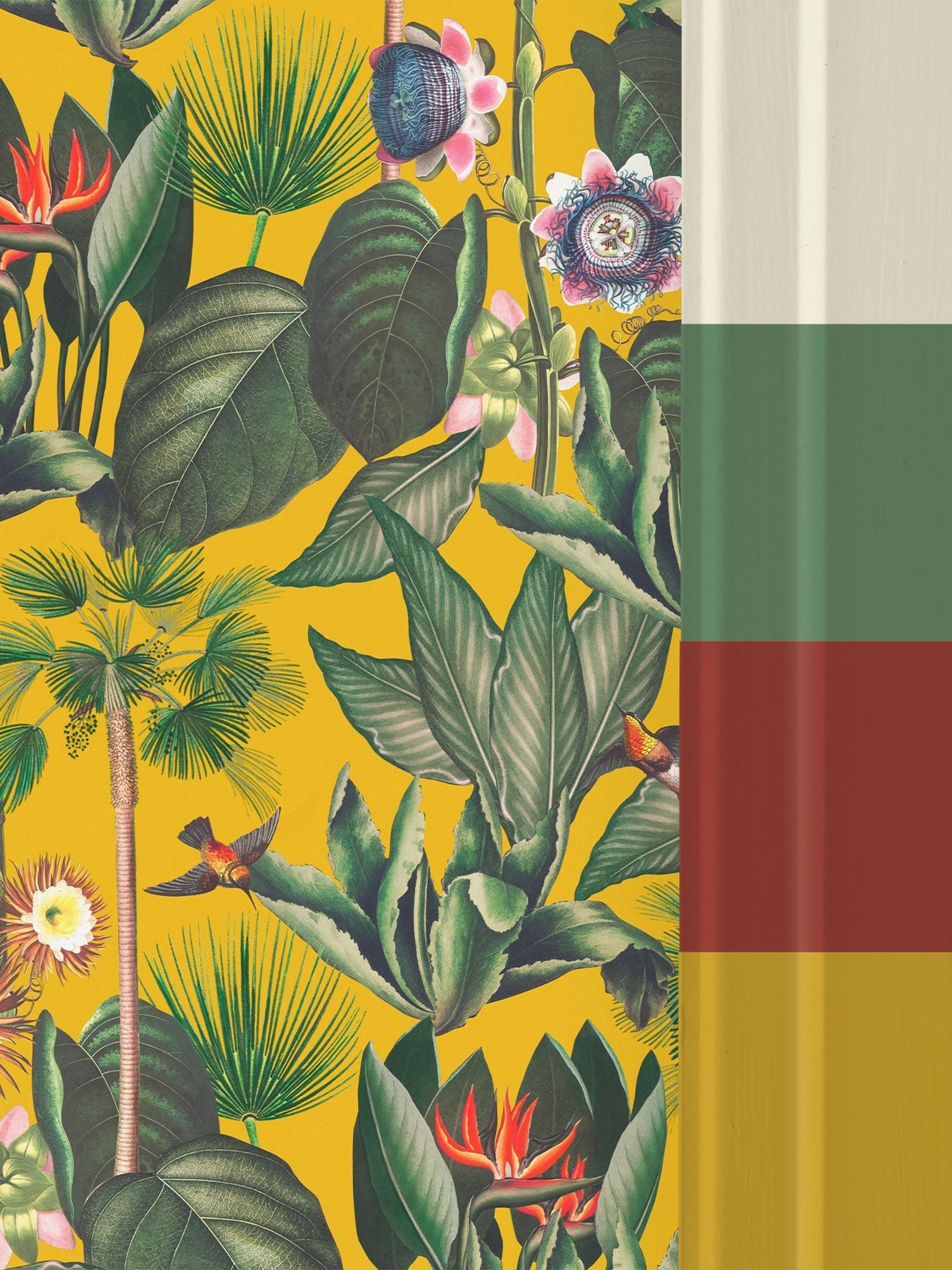 Graham & Brown Botanique Jungle fixed 4M wall mural, imported from the UK