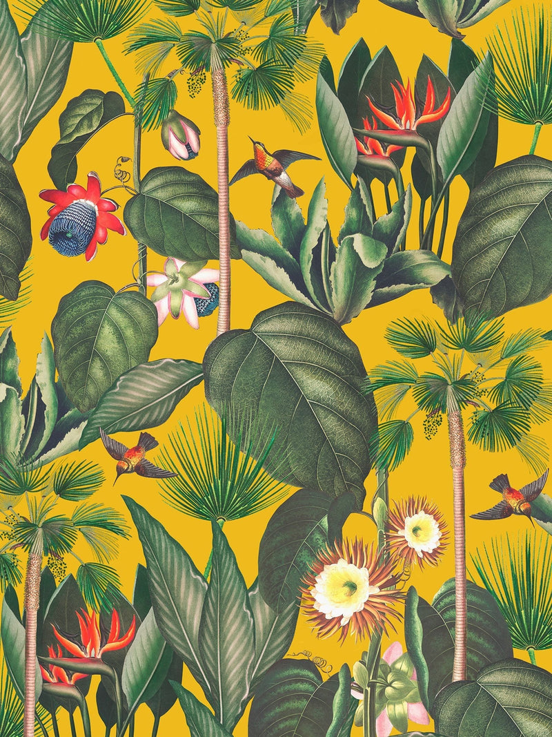 Graham & Brown Sol Botanique Jungle Fixed 4M Mural