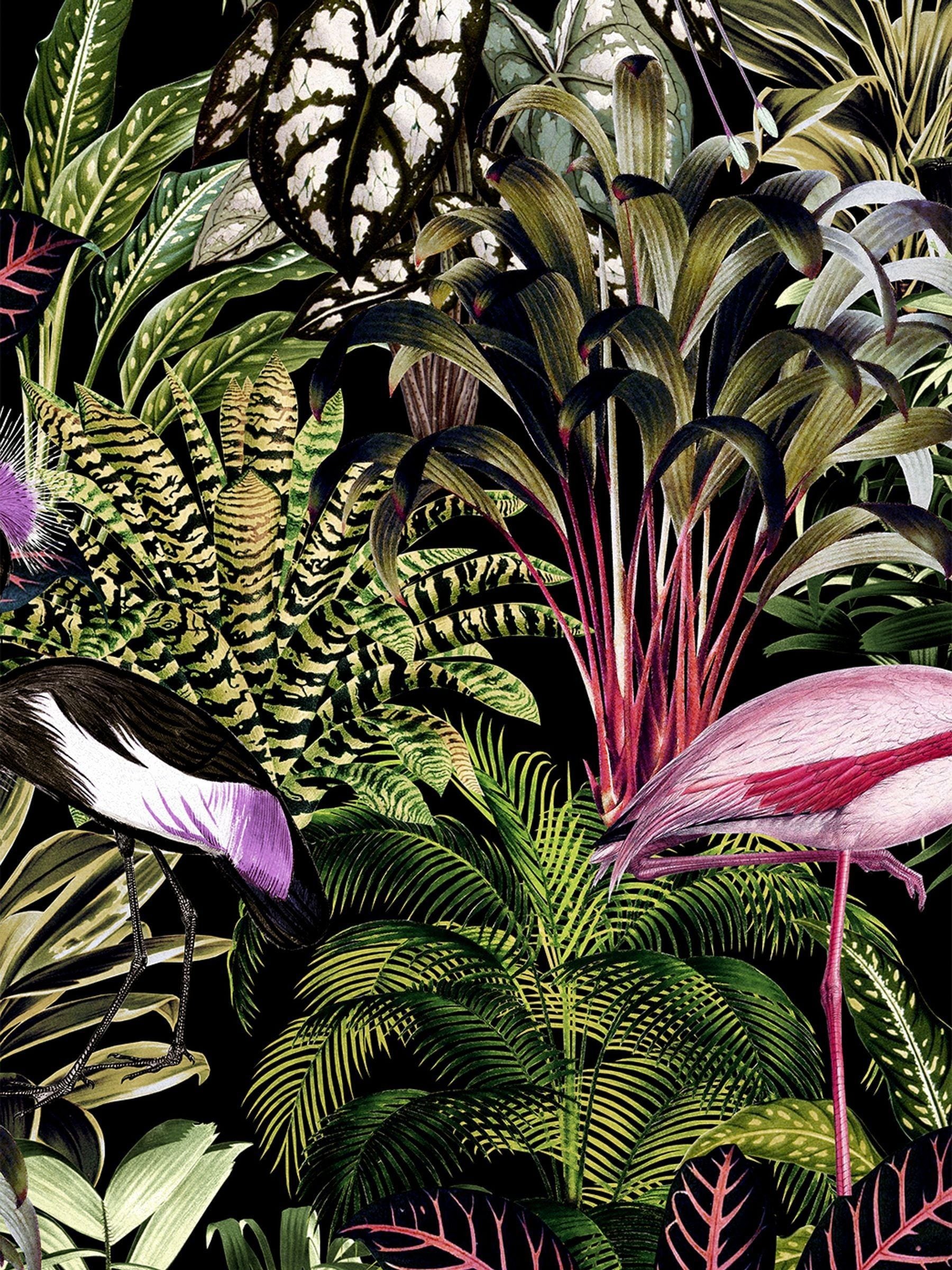 Graham & Brown Tropic Midnight wallpaper sample A4 - British product