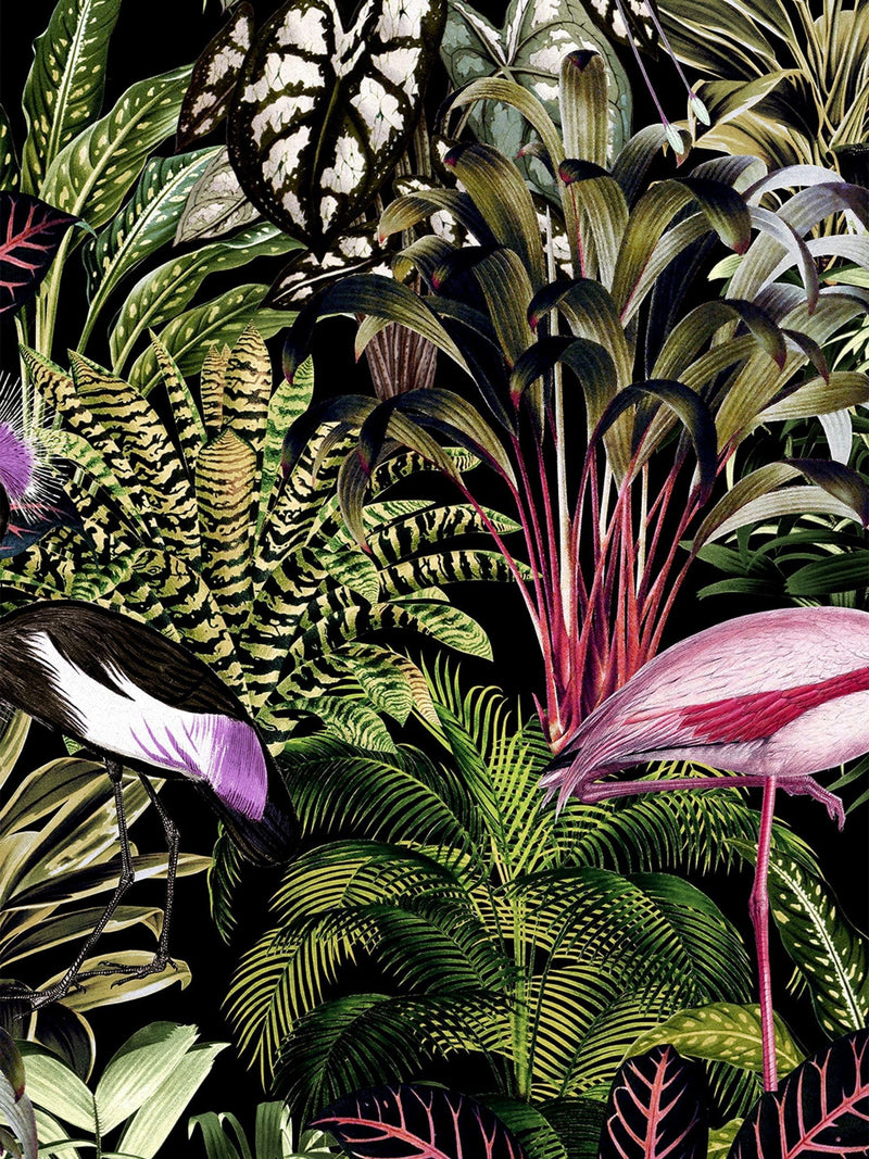 Graham & Brown Tropic Midnight wallpaper sample A4 - British product