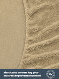 Silentnight Natural Teddy Fleece Fitted Sheet (British brand)