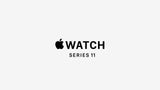 Apple smartwatch titanium case Milanese Loop 46mm, imported from the UK