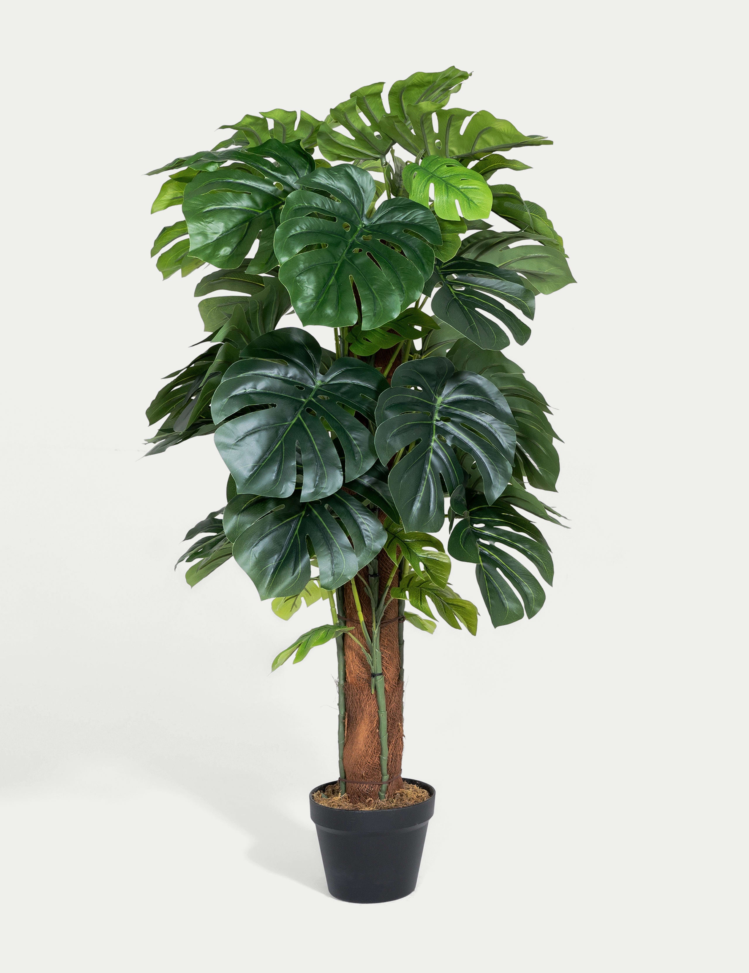Blooming Artificial Monstera on pole 4ft (British brand)