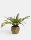 Artificial Fern Plant In Pot