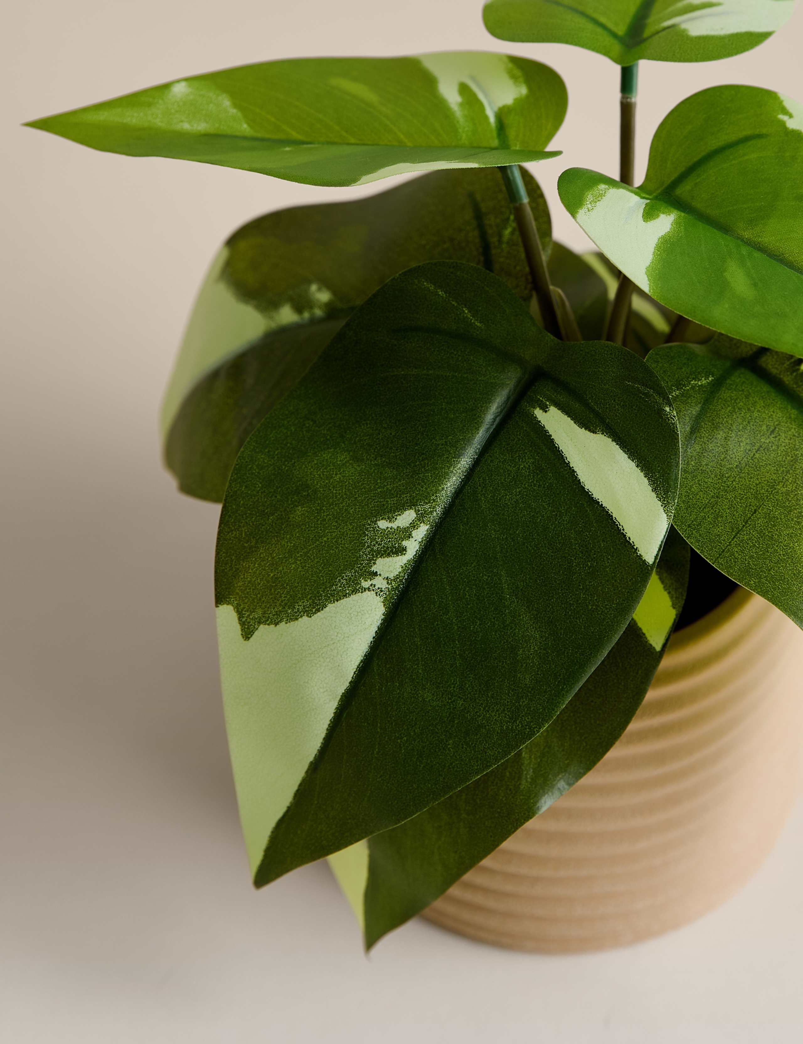 Artificial heartleaf philodendron in ceramic pot, imported from the UK
