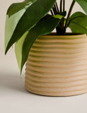 Artificial heartleaf philodendron in ceramic pot, imported from the UK