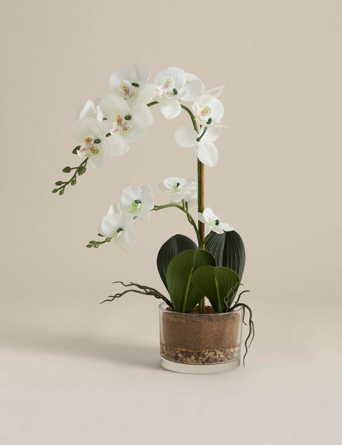 Artificial medium orchid in glass pot, UK version