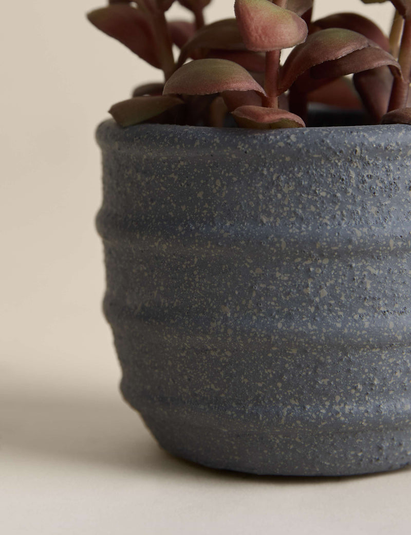 Artificial succulent in ridged concrete pot 12.7 cm - British product
