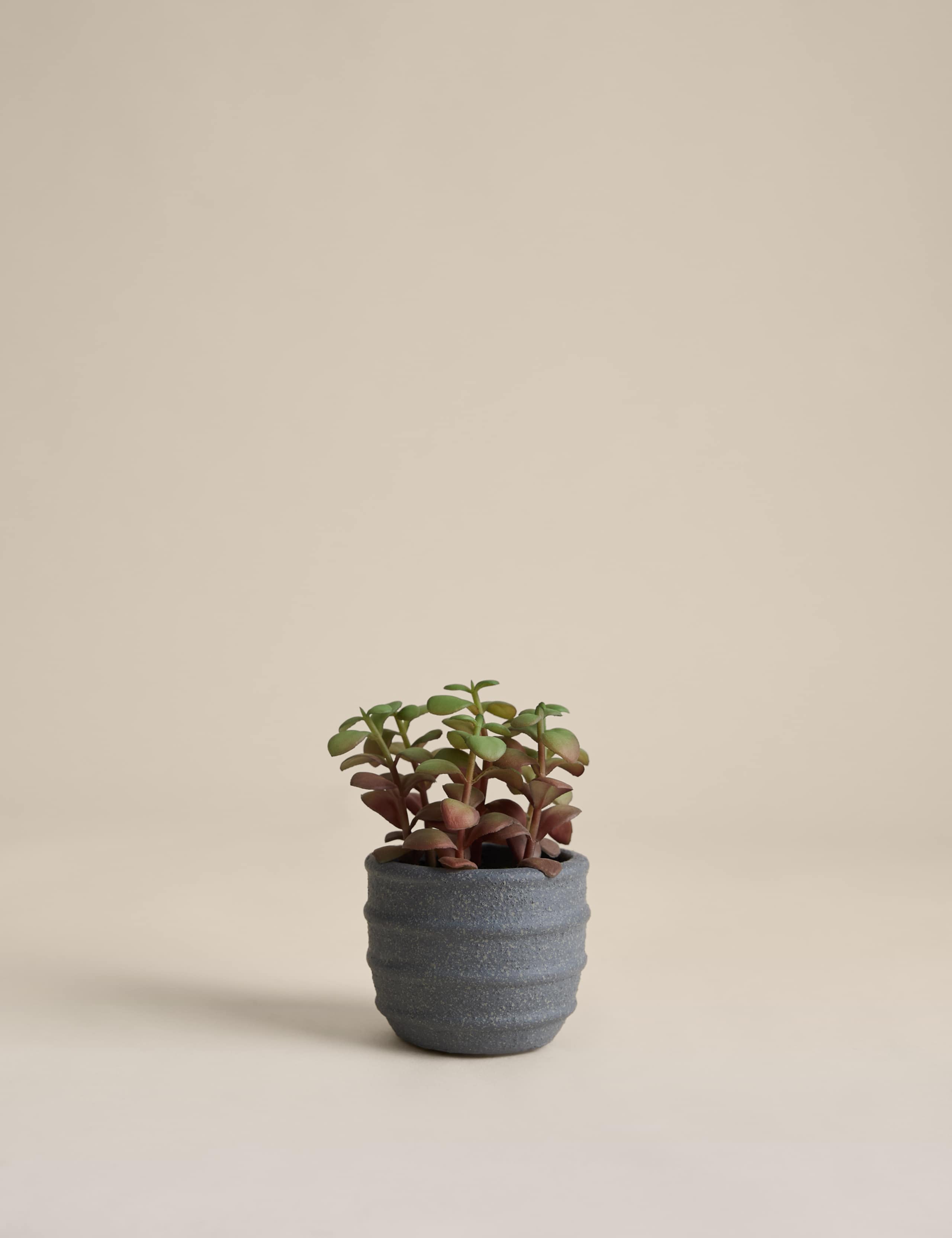 Artificial succulent in ridged concrete pot 12.7 cm - British product