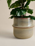 Artificial monstera plant in ceramic pot 46cm - British product