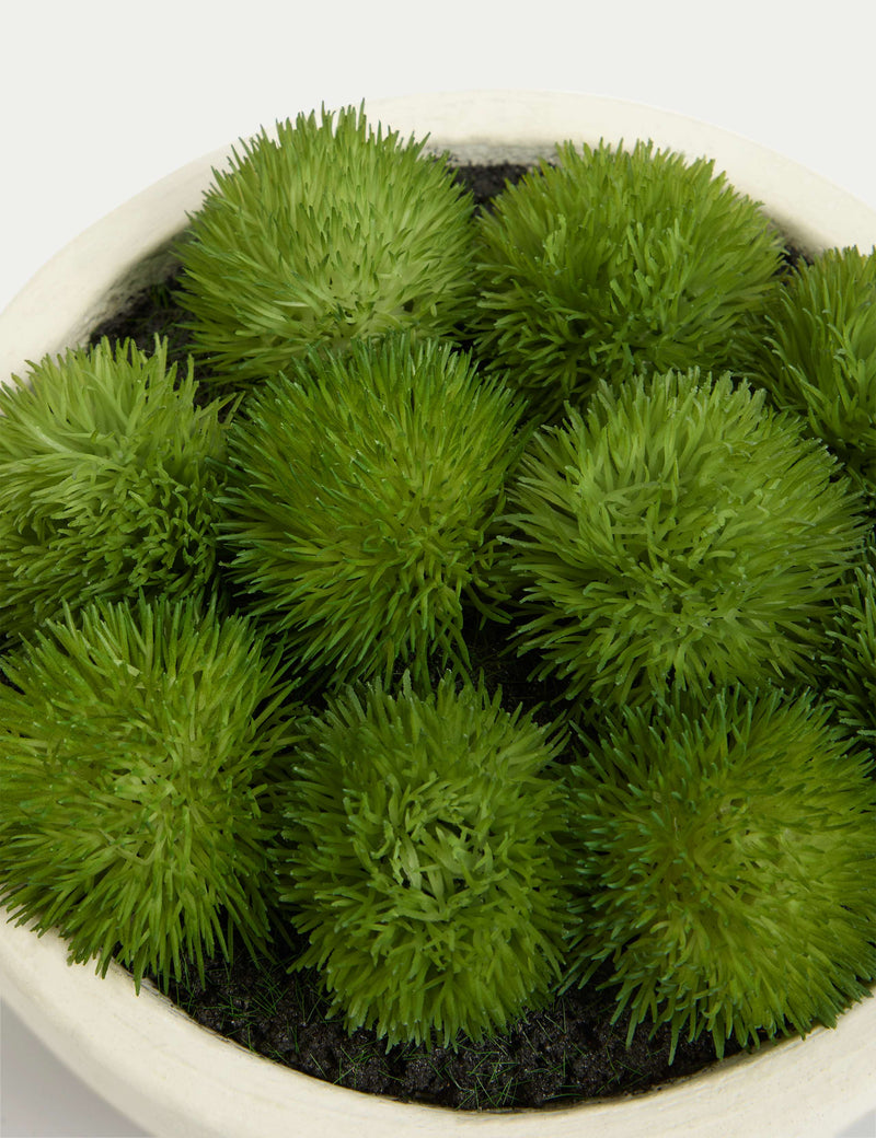 Artificial moss in concrete bowl decorative plant, 20 cm wide - British product