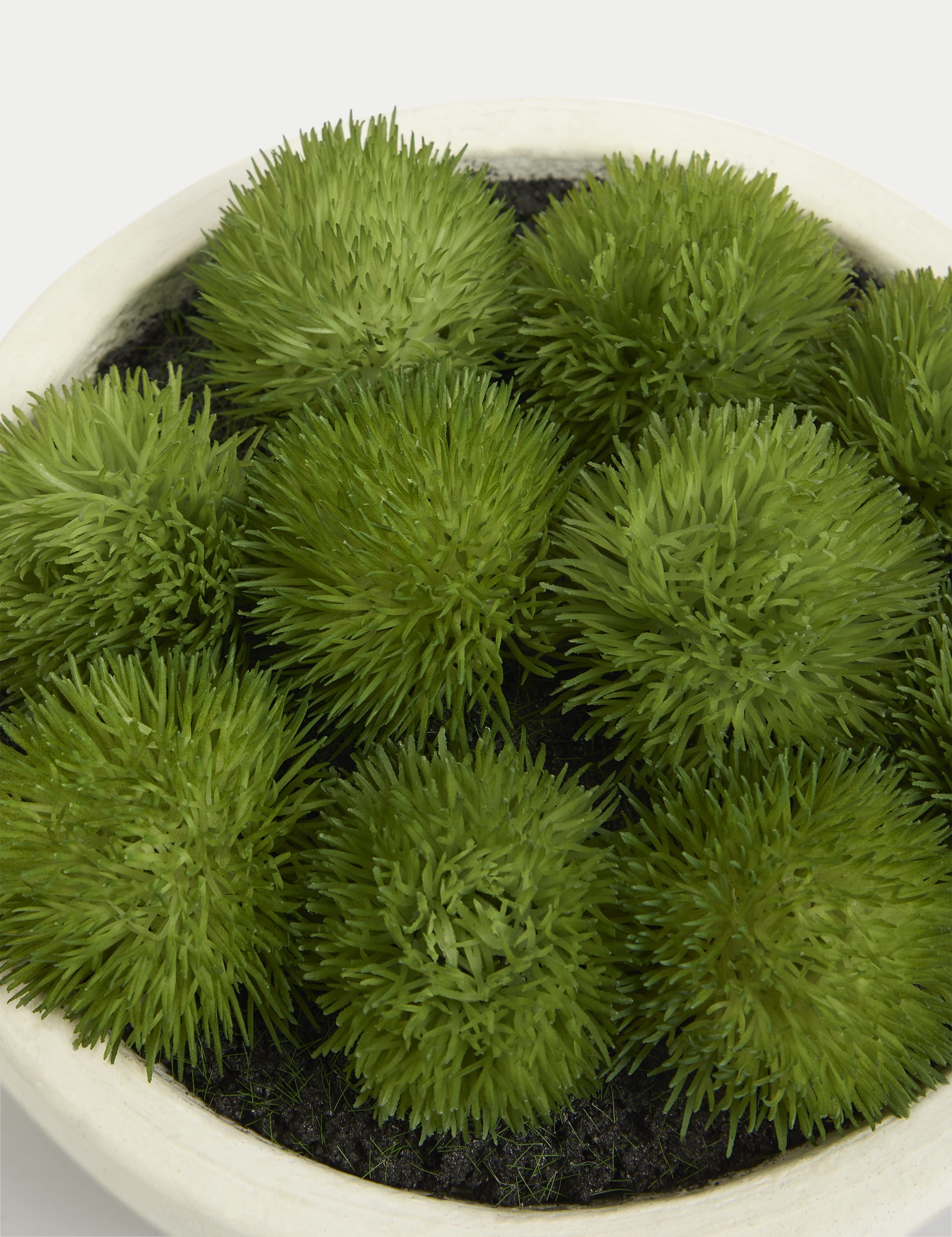 Artificial moss in concrete bowl decorative plant, 20 cm wide - British product