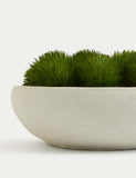 Artificial moss in concrete bowl decorative plant, 20 cm wide - British product