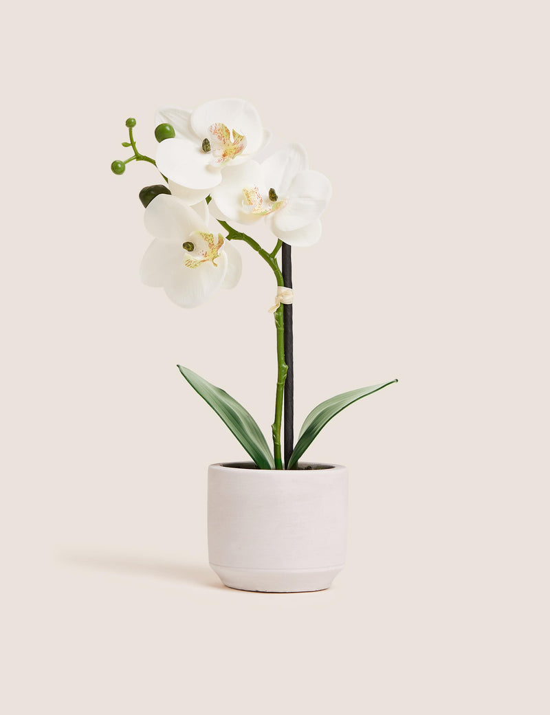 Moss & Sweetpea artificial real touch small orchid in pot - British product