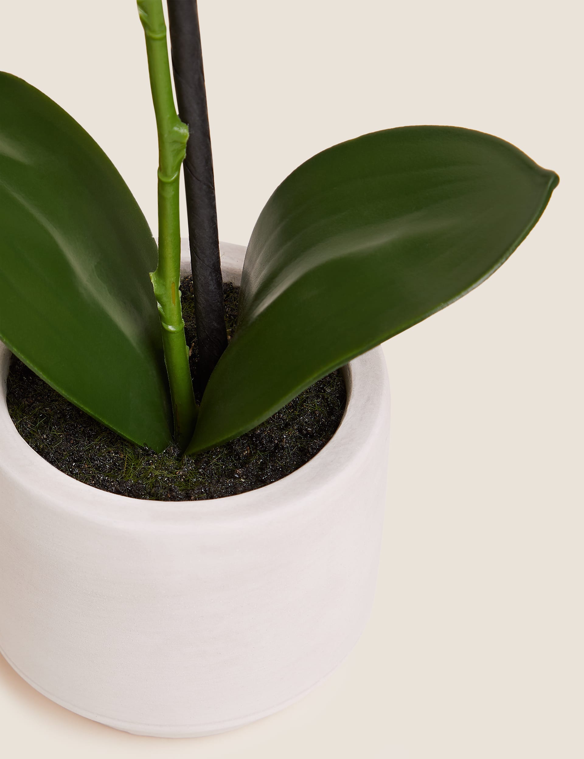 Moss & Sweetpea artificial real touch small orchid in pot - British product
