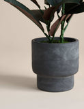 Moss & Sweetpea artificial rubber plant in cement pot 42cm (British brand)