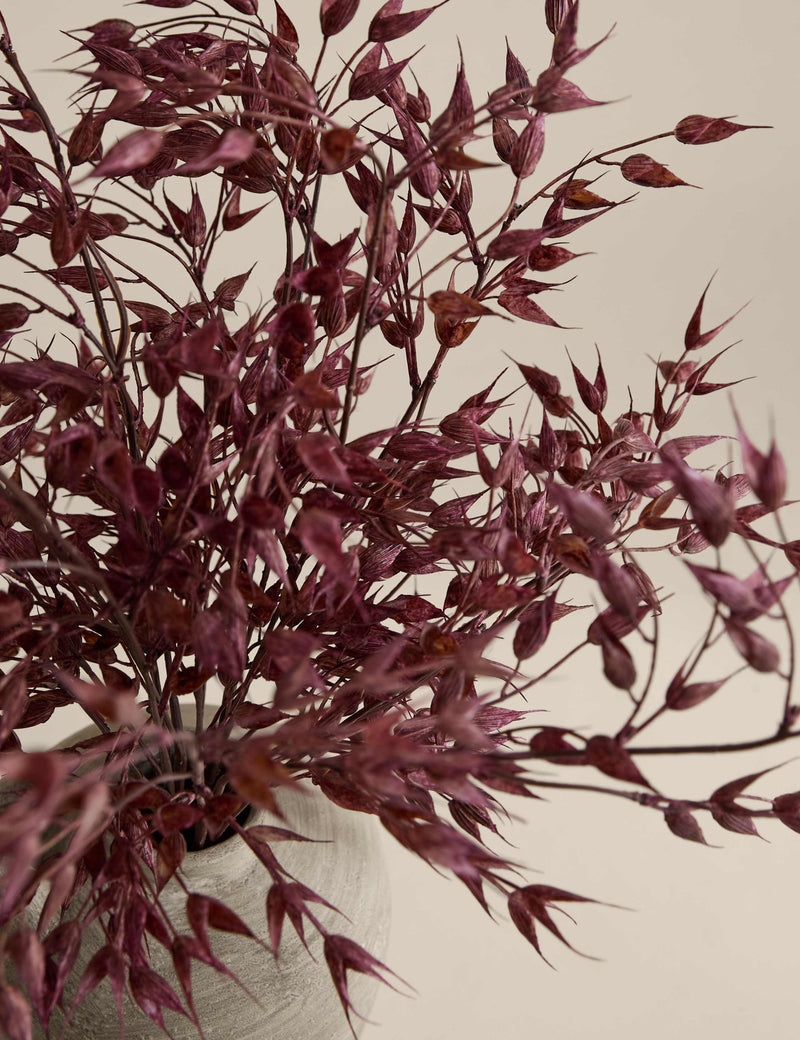 Artificial Ruscus Arrangement in Resin Pot