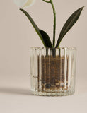 Artificial small orchid in glass pot 24cm, imported from the UK