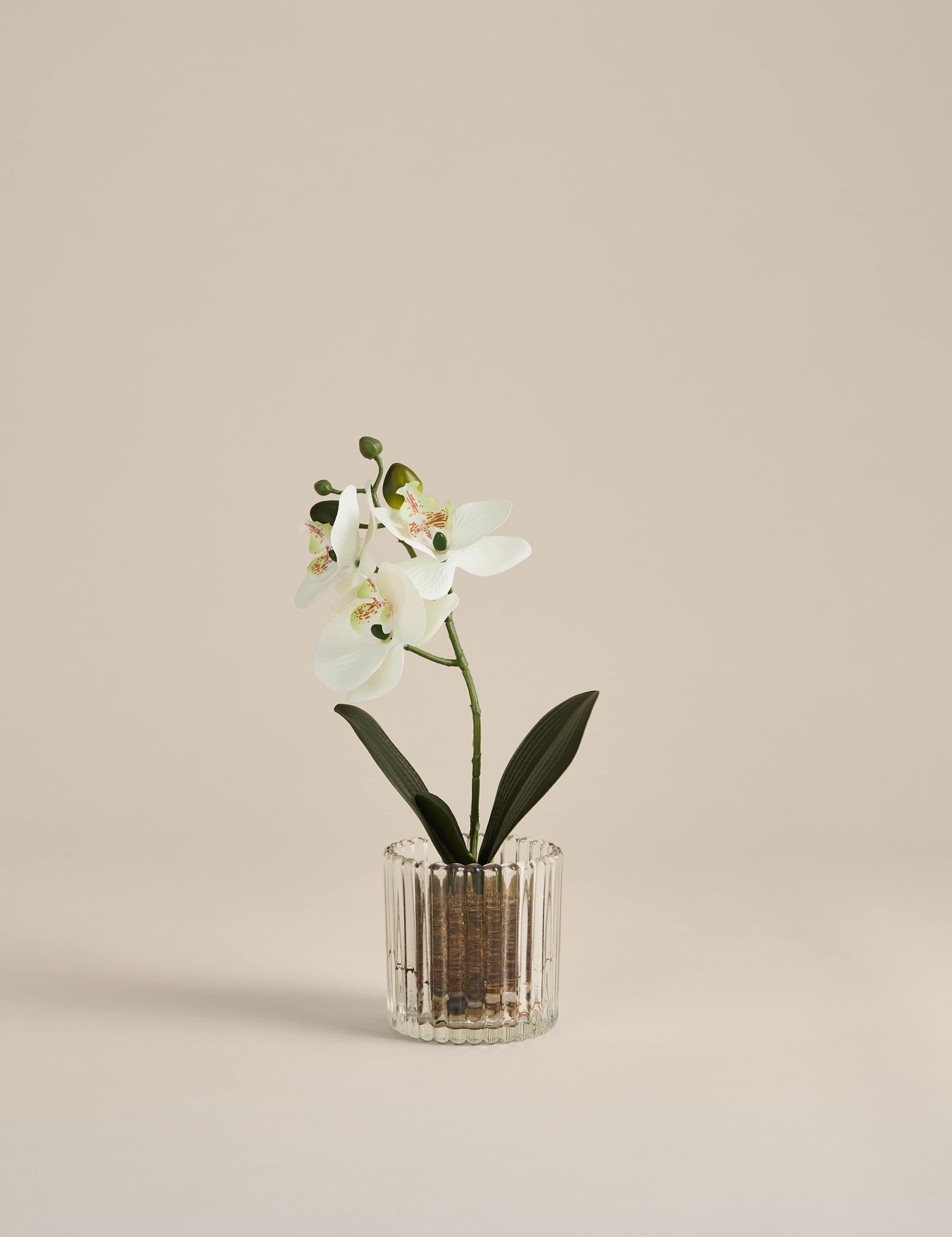 Artificial small orchid in glass pot 24cm, imported from the UK
