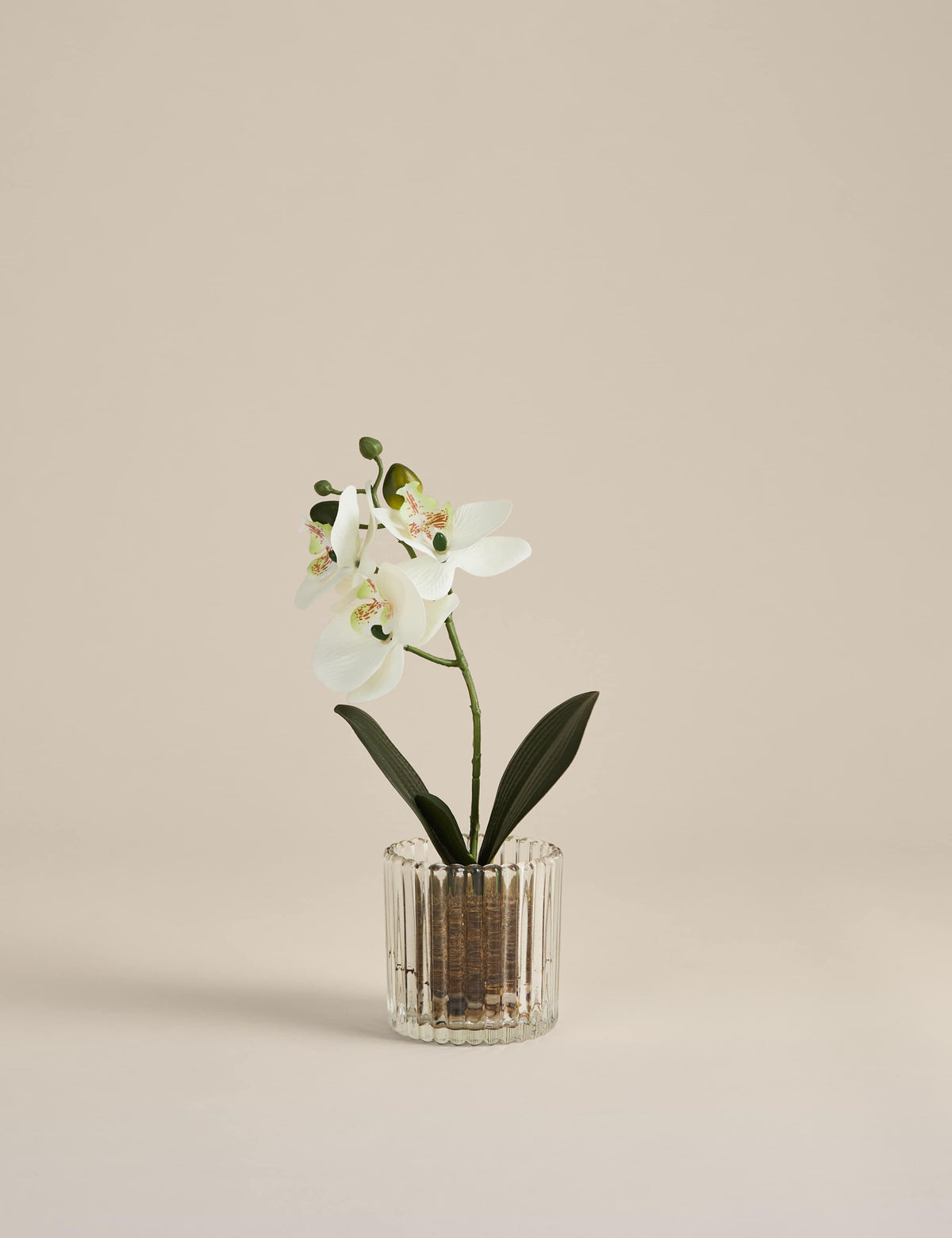 Artificial small orchid in glass pot 24cm, imported from the UK