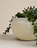Artificial string of hearts in cement pot, UK version