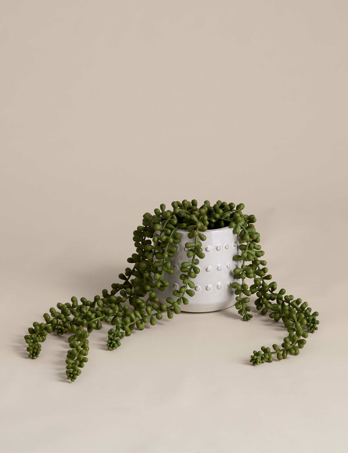 Artificial String of Pearls in ceramic pot, imported from the UK