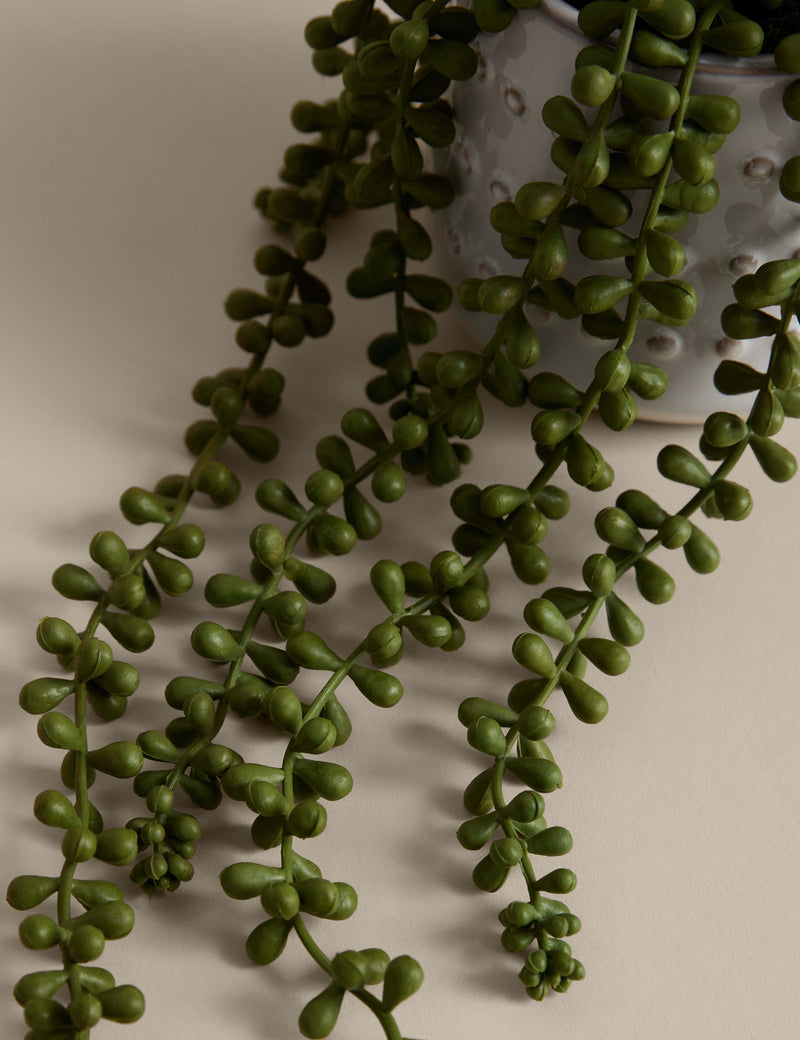 Artificial String of Pearls in ceramic pot, imported from the UK