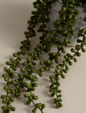 Artificial String of Pearls in ceramic pot, imported from the UK