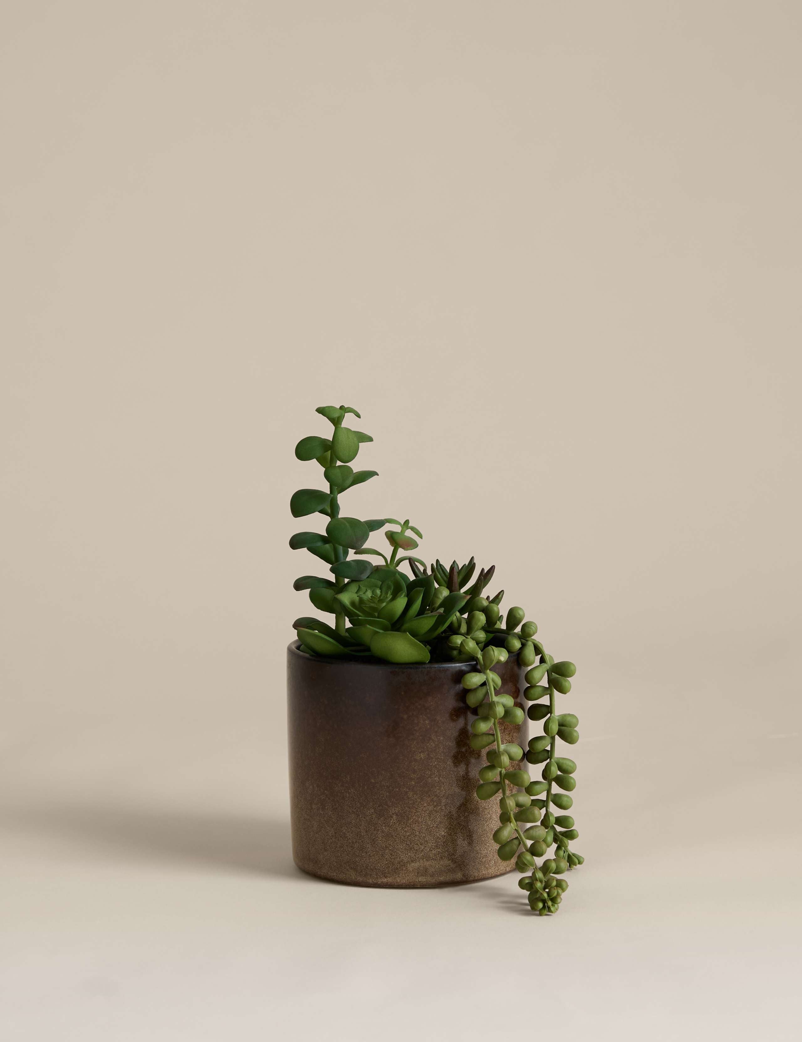 Artificial succulent collection in reactive glaze pot, British brand