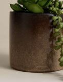 Artificial succulent collection in reactive glaze pot, British brand