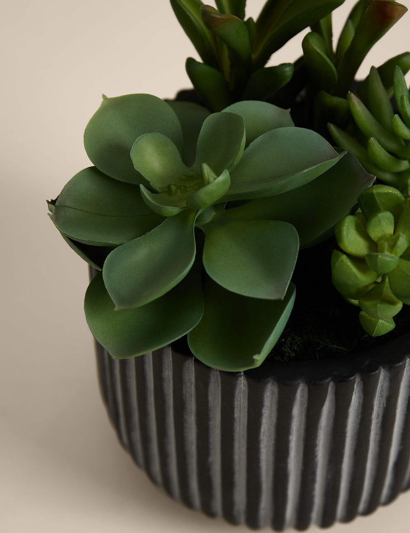 Moss & Sweetpea artificial succulents in ridged cement pot - British product