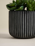 Moss & Sweetpea artificial succulents in ridged cement pot - British product