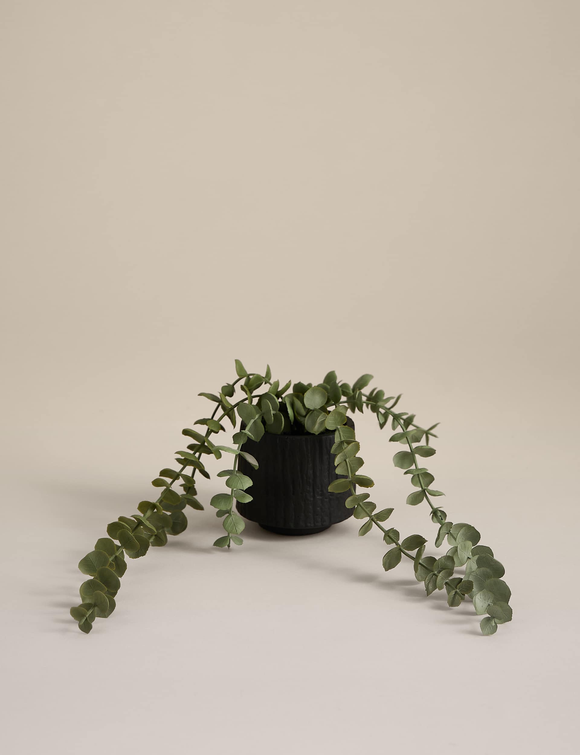 Artificial trailing baby plant in textured ceramic pot 36.8cm height - British product