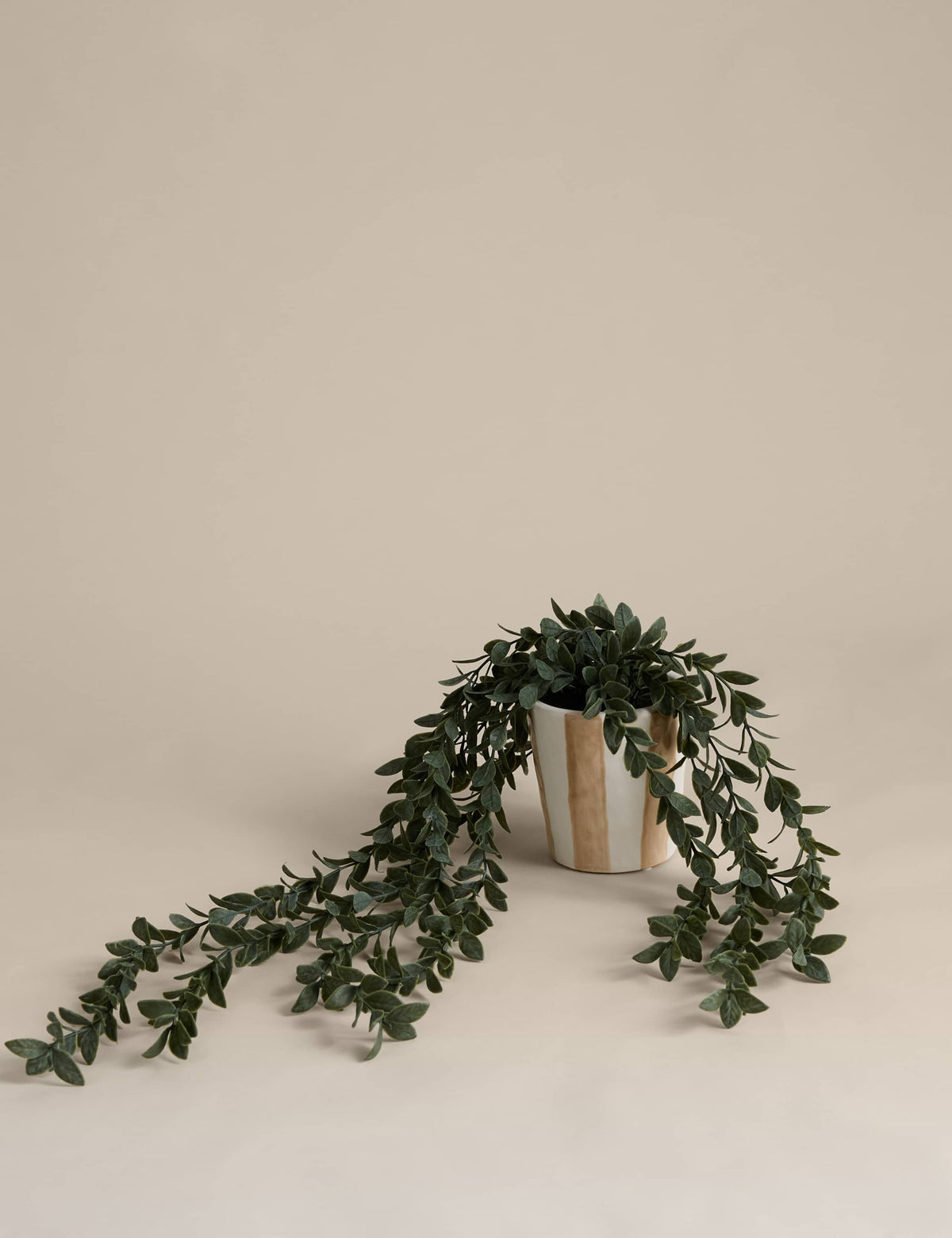 Artificial trailing boxwood in stripe ceramic pot - British product
