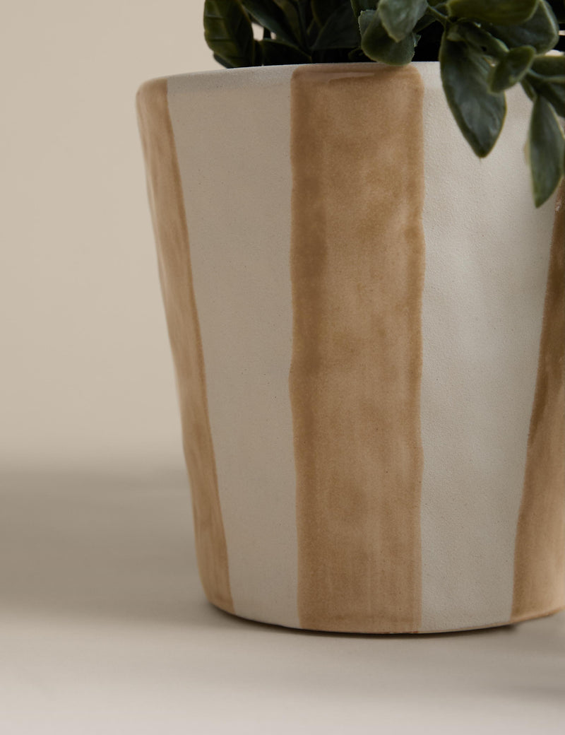 Artificial trailing boxwood in stripe ceramic pot - British product