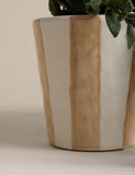 Artificial trailing boxwood in stripe ceramic pot - British product