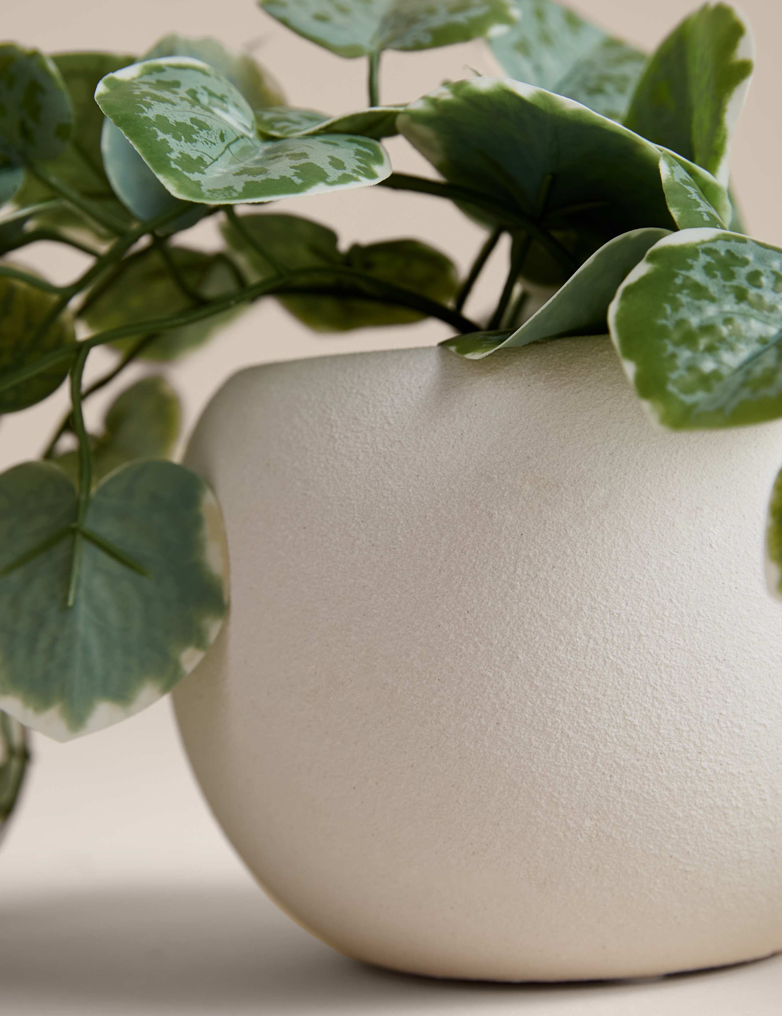 Artificial trailing eucalyptus plant in white ceramic pot 16 cm height, imported from the UK